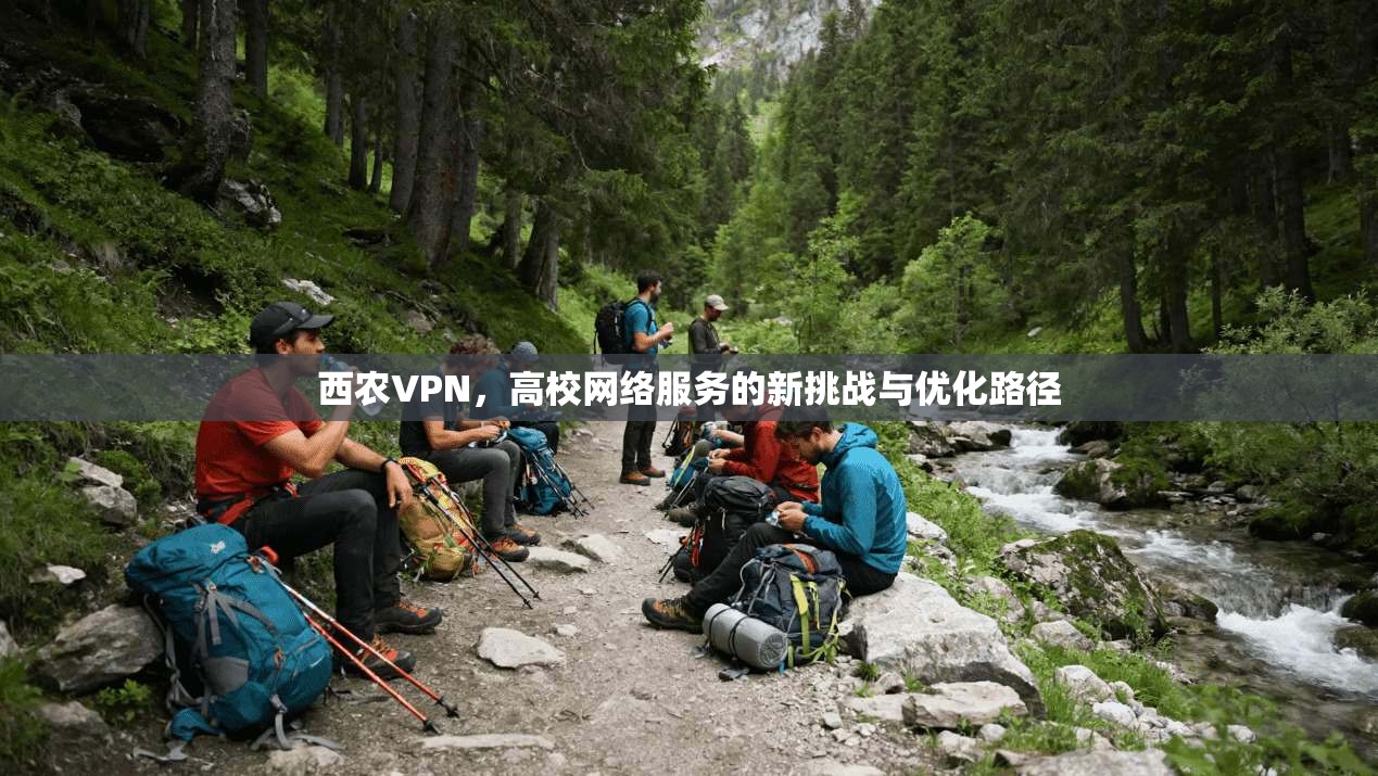 西农VPN，高校网络服务的新挑战与优化路径