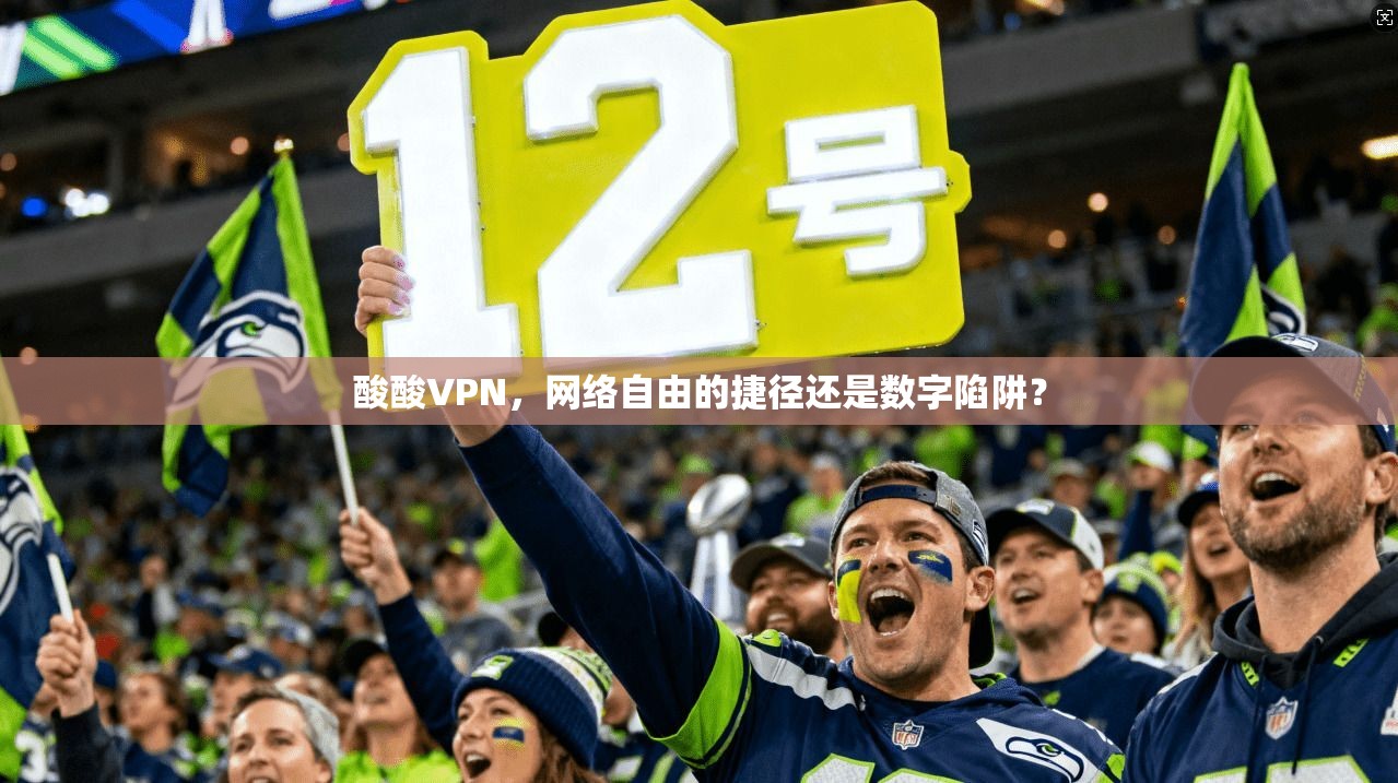 酸酸VPN，网络自由的捷径还是数字陷阱？