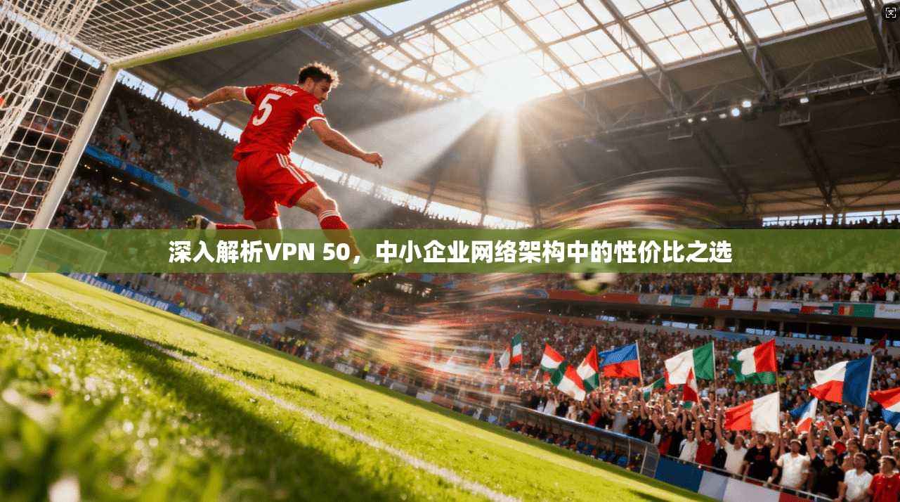 深入解析VPN 50，中小企业网络架构中的性价比之选