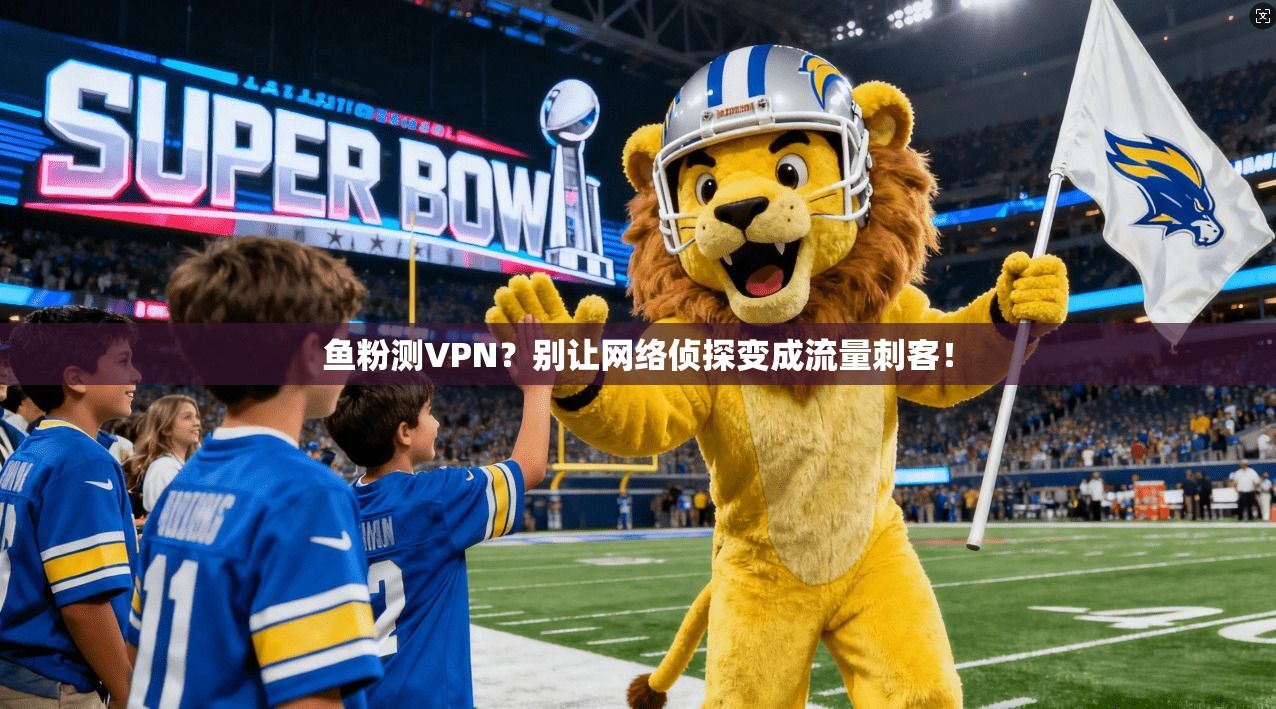 鱼粉测VPN？别让网络侦探变成流量刺客！