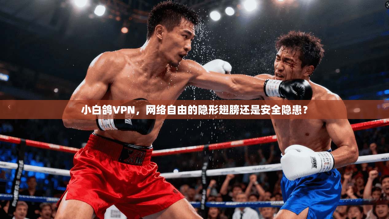 小白鸽VPN，网络自由的隐形翅膀还是安全隐患？