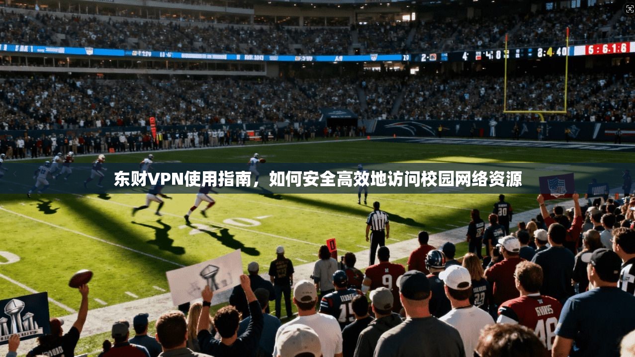 东财VPN使用指南，如何安全高效地访问校园网络资源