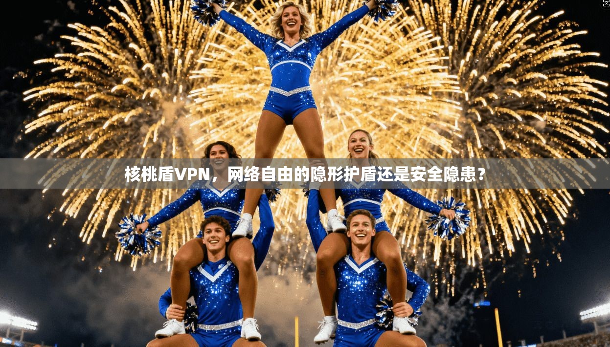 核桃盾VPN，网络自由的隐形护盾还是安全隐患？
