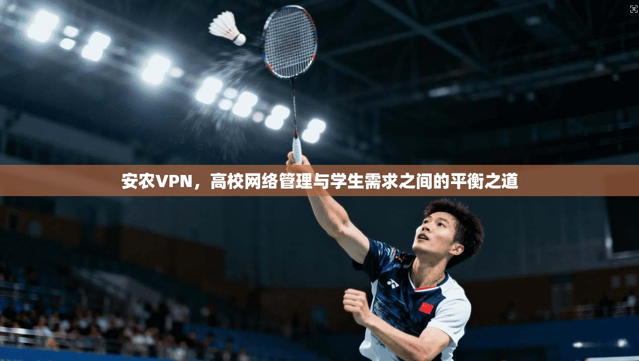 安农VPN，高校网络管理与学生需求之间的平衡之道