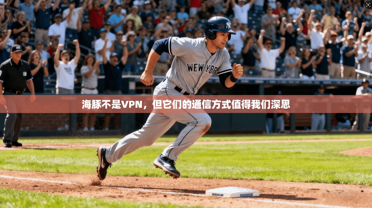 海豚不是VPN，但它们的通信方式值得我们深思