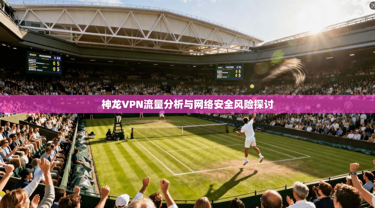 神龙VPN流量分析与网络安全风险探讨