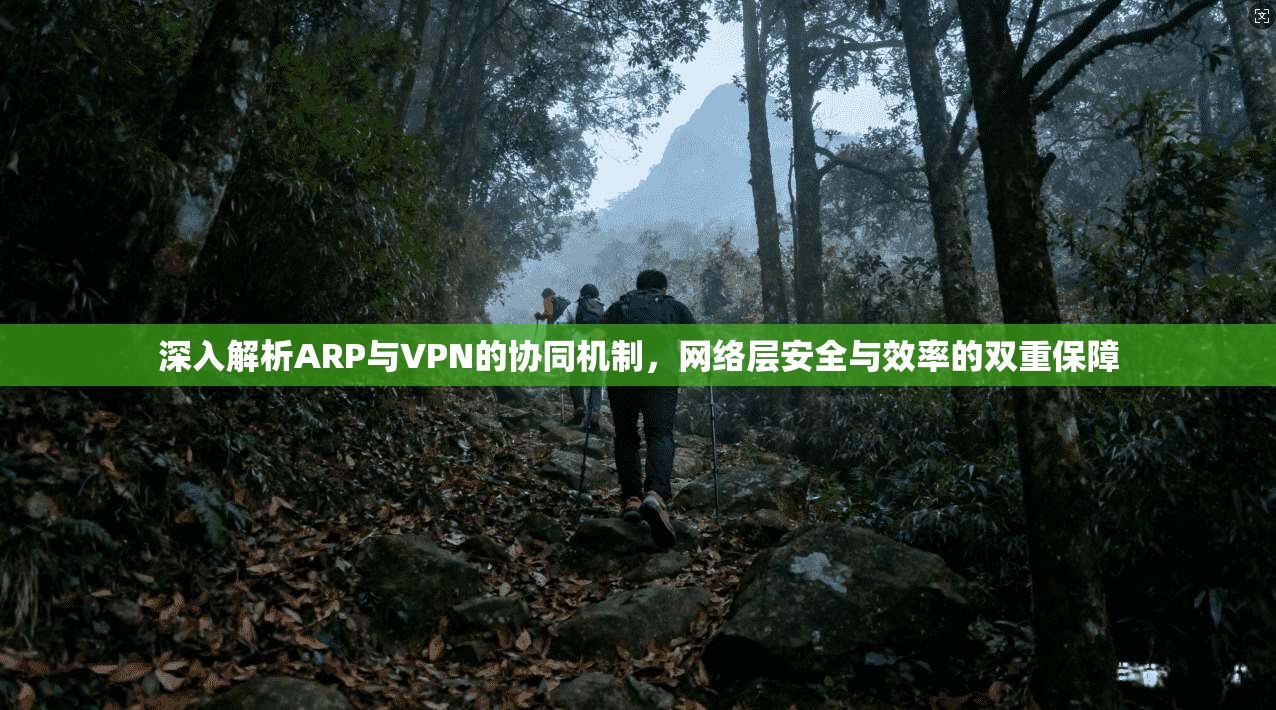 深入解析ARP与VPN的协同机制，网络层安全与效率的双重保障