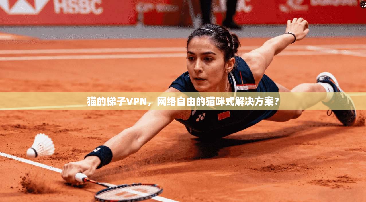 猫的梯子VPN，网络自由的猫咪式解决方案？