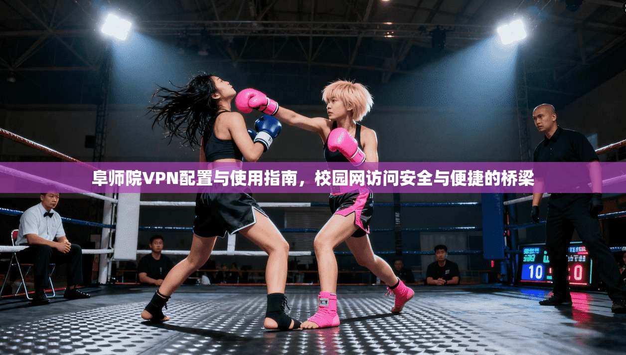 阜师院VPN配置与使用指南，校园网访问安全与便捷的桥梁