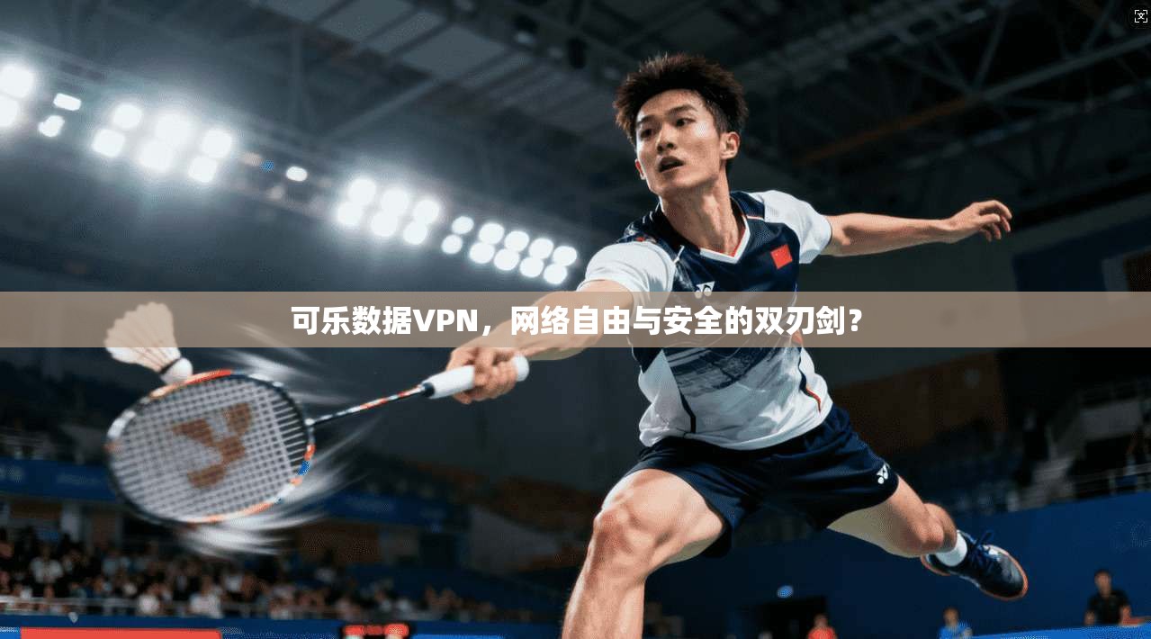 可乐数据VPN，网络自由与安全的双刃剑？