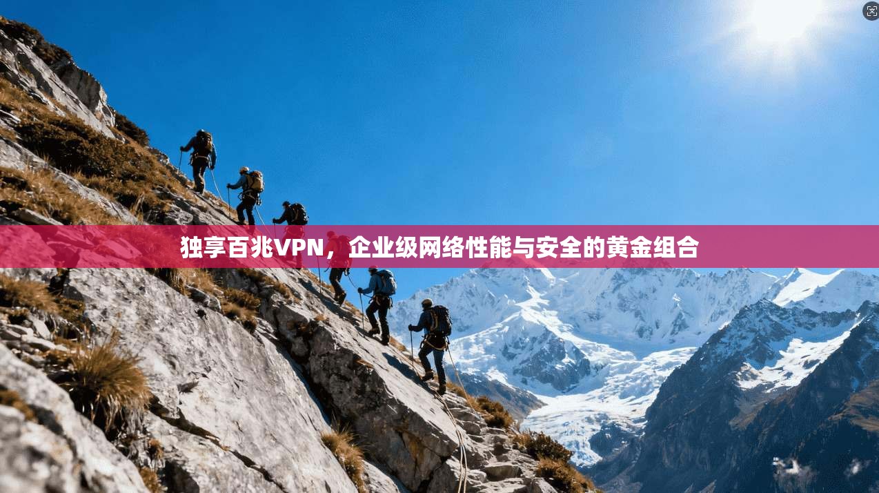 独享百兆VPN，企业级网络性能与安全的黄金组合