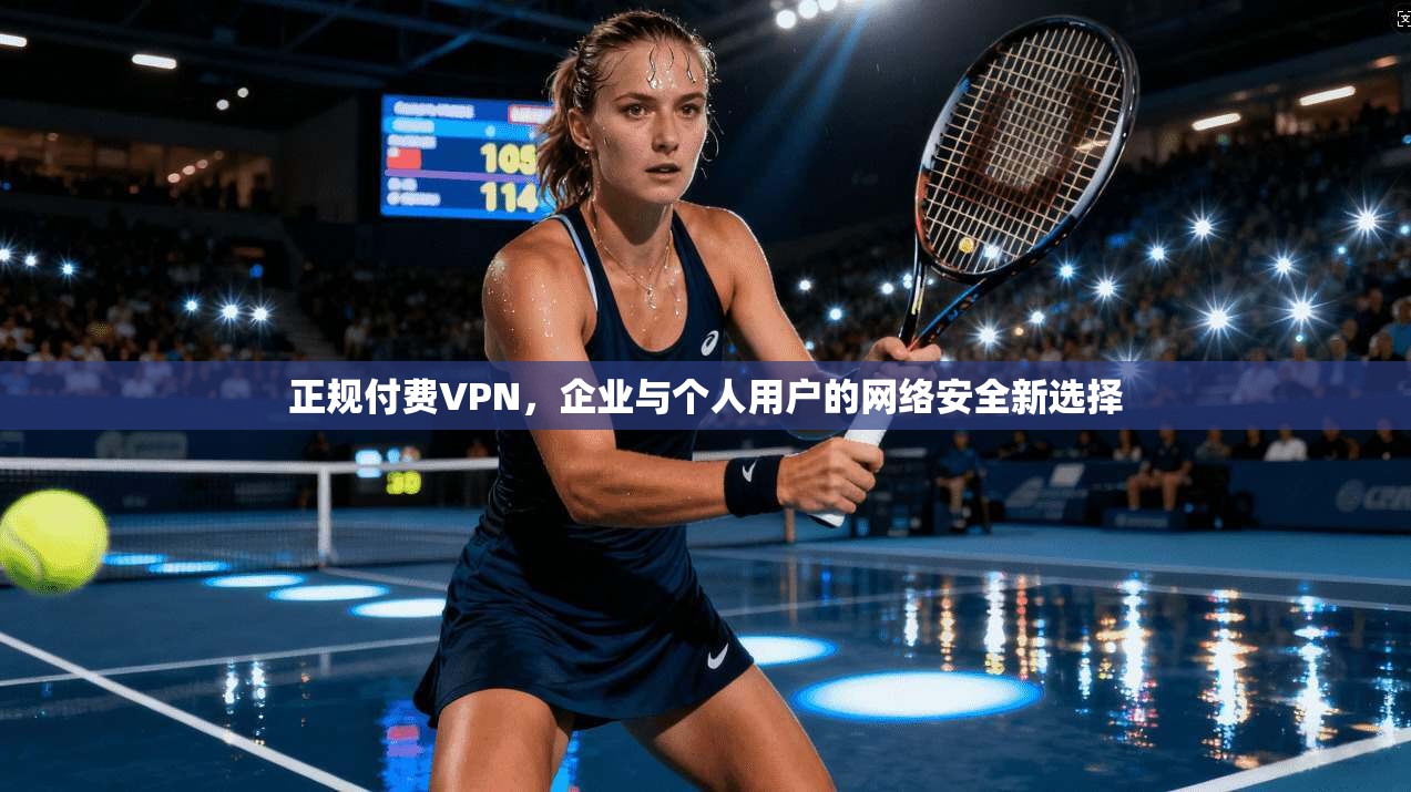 正规付费VPN，企业与个人用户的网络安全新选择