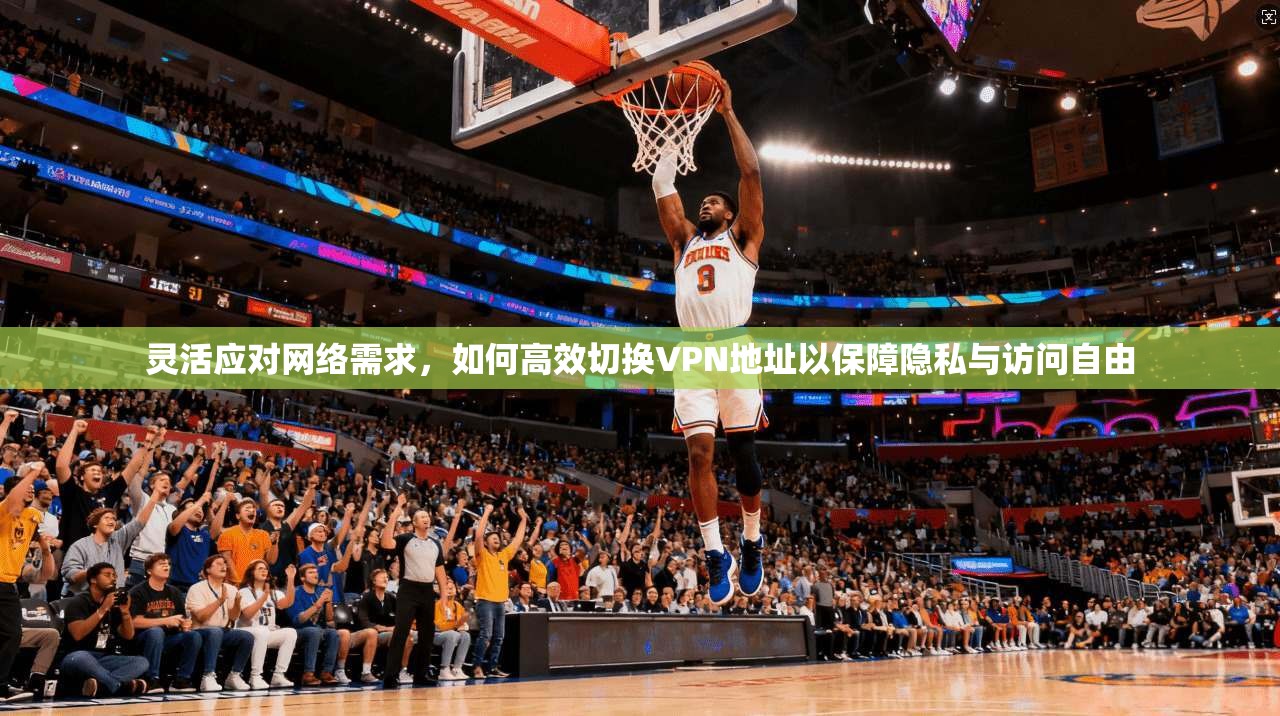 灵活应对网络需求，如何高效切换VPN地址以保障隐私与访问自由