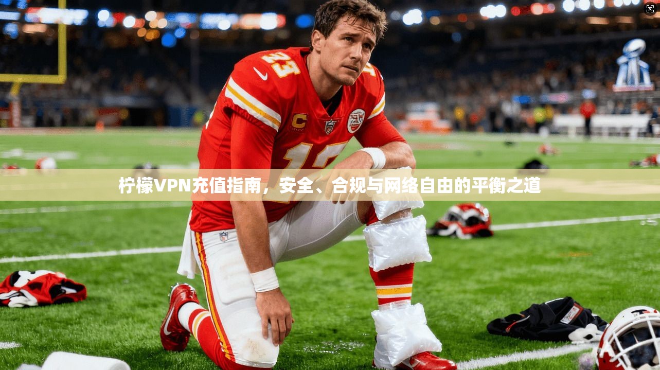 柠檬VPN充值指南，安全、合规与网络自由的平衡之道