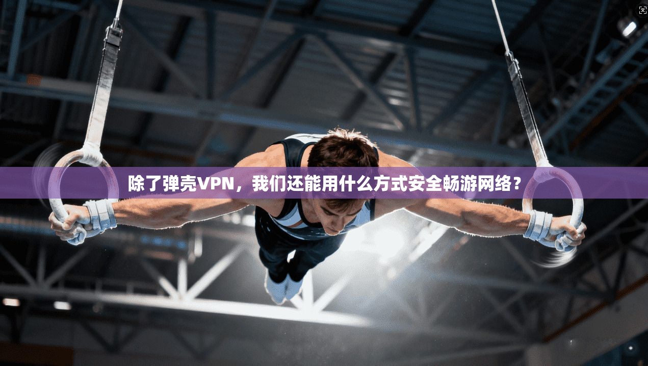 除了弹壳VPN，我们还能用什么方式安全畅游网络？