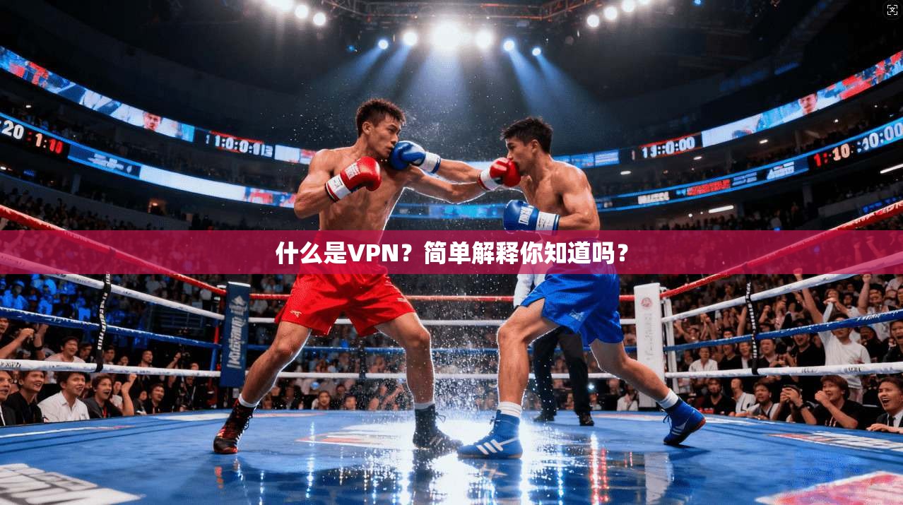 什么是VPN？简单解释你知道吗？