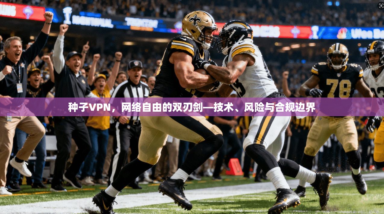 种子VPN，网络自由的双刃剑—技术、风险与合规边界