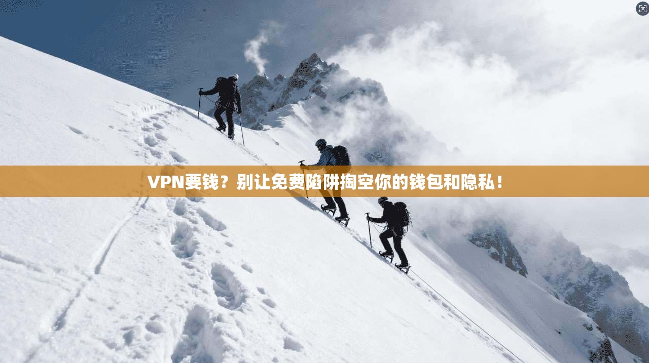 VPN要钱？别让免费陷阱掏空你的钱包和隐私！