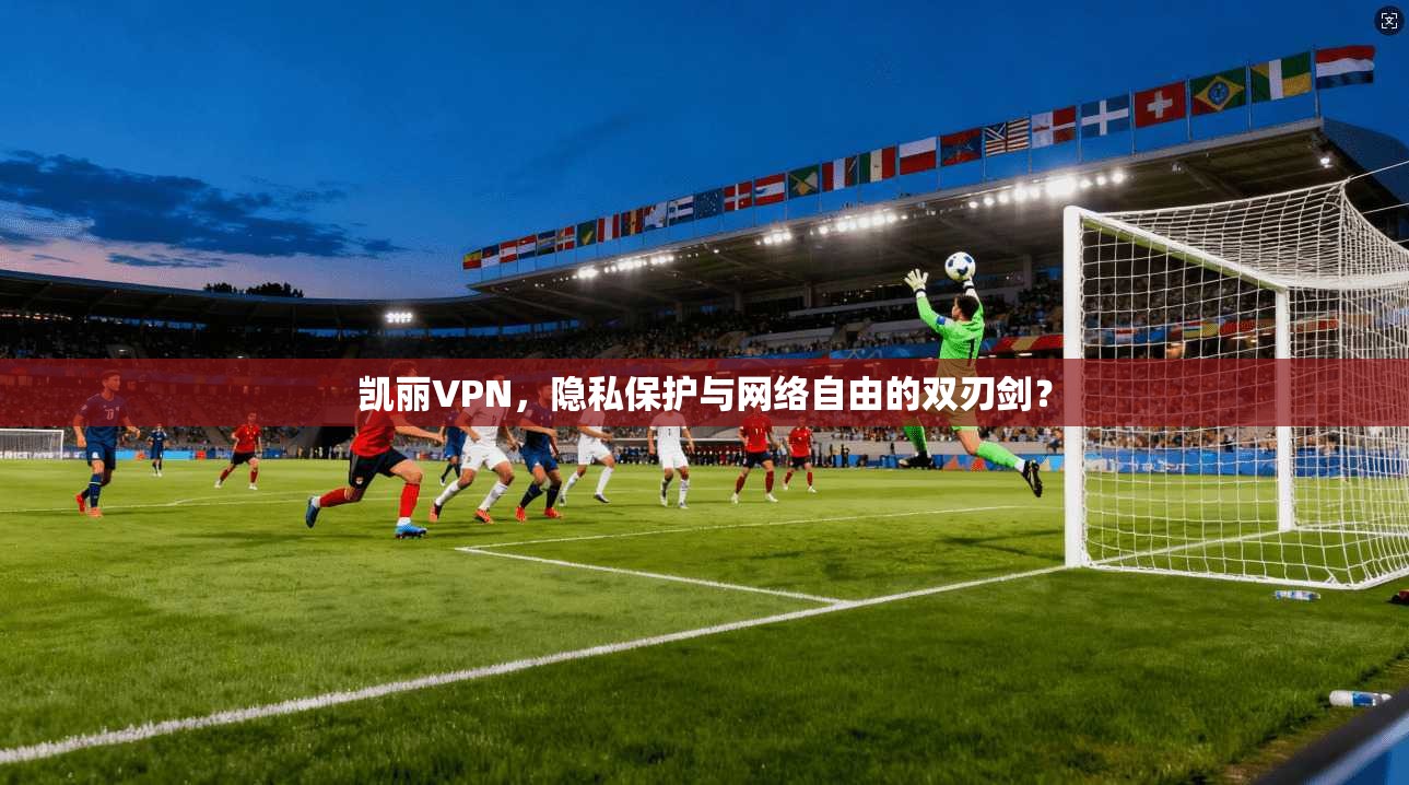 凯丽VPN，隐私保护与网络自由的双刃剑？