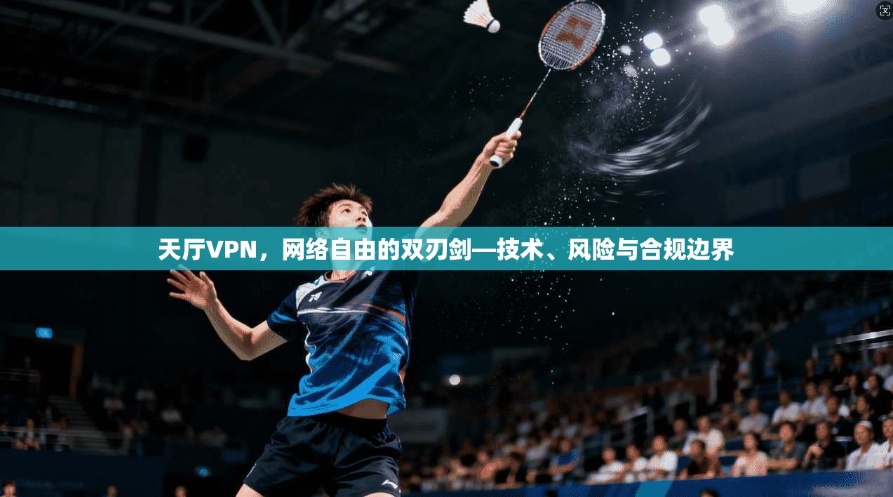 天厅VPN，网络自由的双刃剑—技术、风险与合规边界