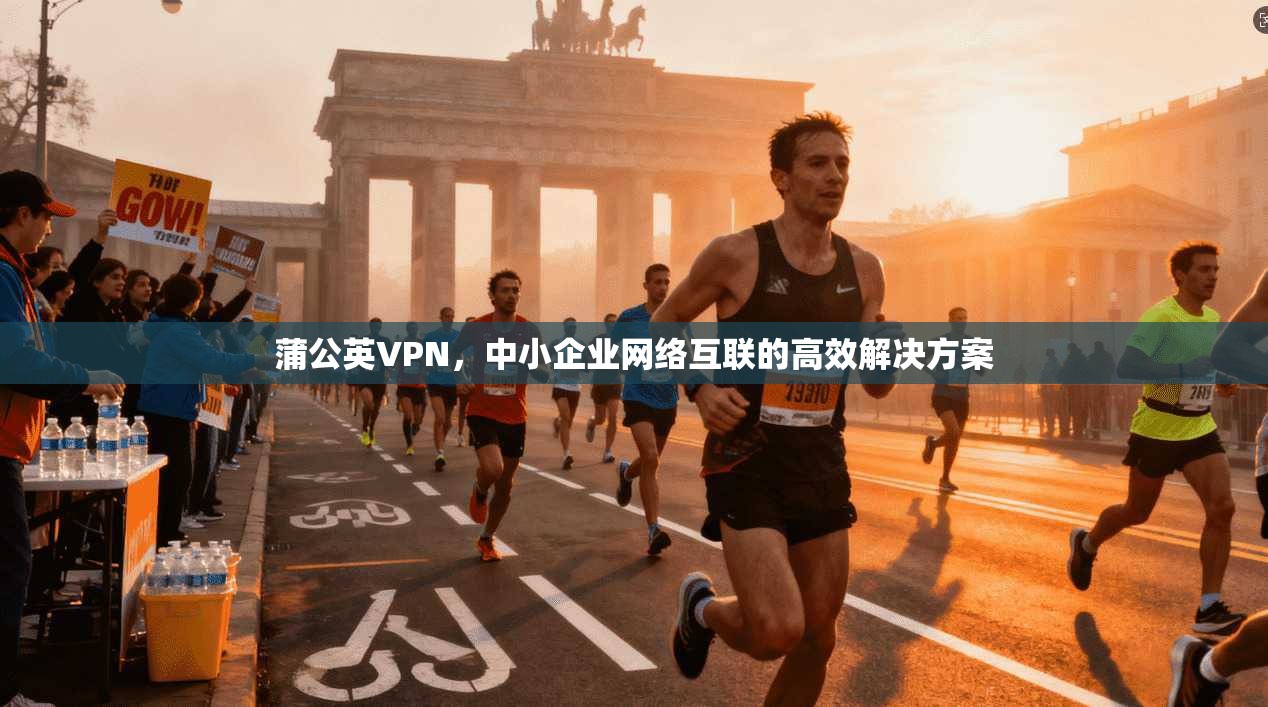 蒲公英VPN，中小企业网络互联的高效解决方案