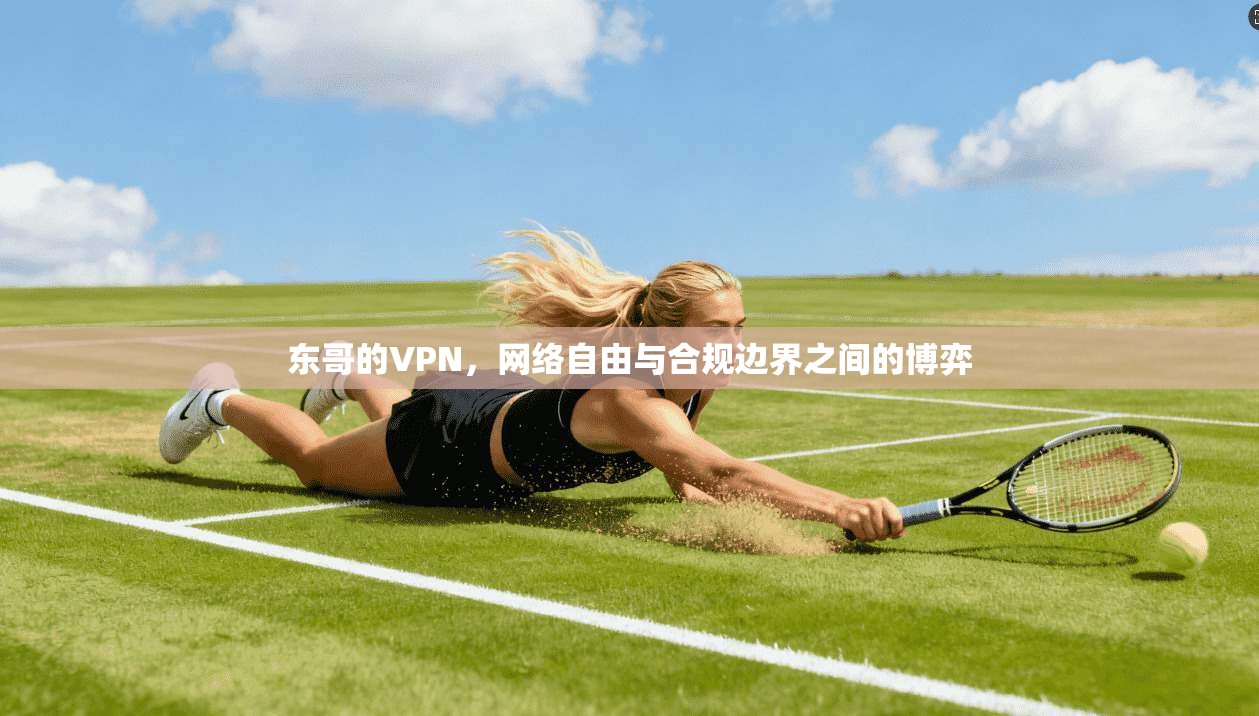 东哥的VPN，网络自由与合规边界之间的博弈