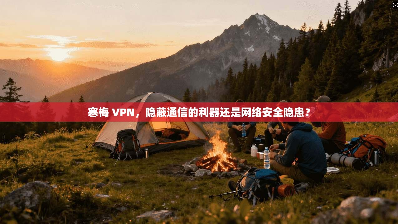 寒梅 VPN,隐蔽通信的利器还是网络安全隐患?