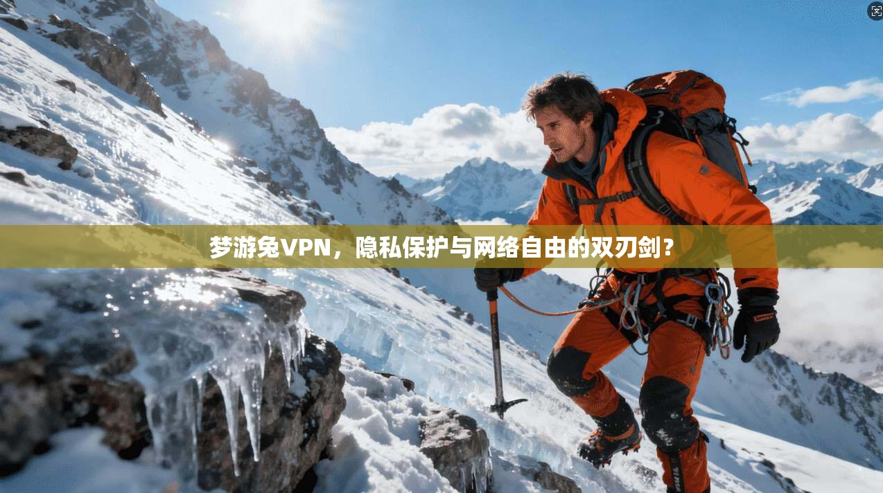 梦游兔VPN,隐私保护与网络自由的双刃剑?