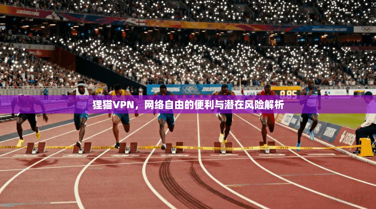 狸猫VPN,网络自由的便利与潜在风险解析 狸猫VPN,网络自由的便利与潜在风险解析