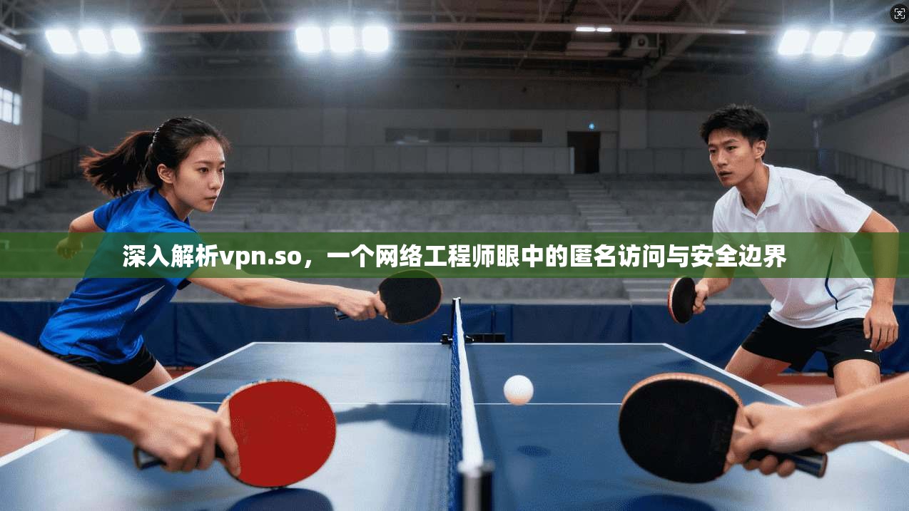 深入解析vpn.so，一个网络工程师眼中的匿名访问与安全边界