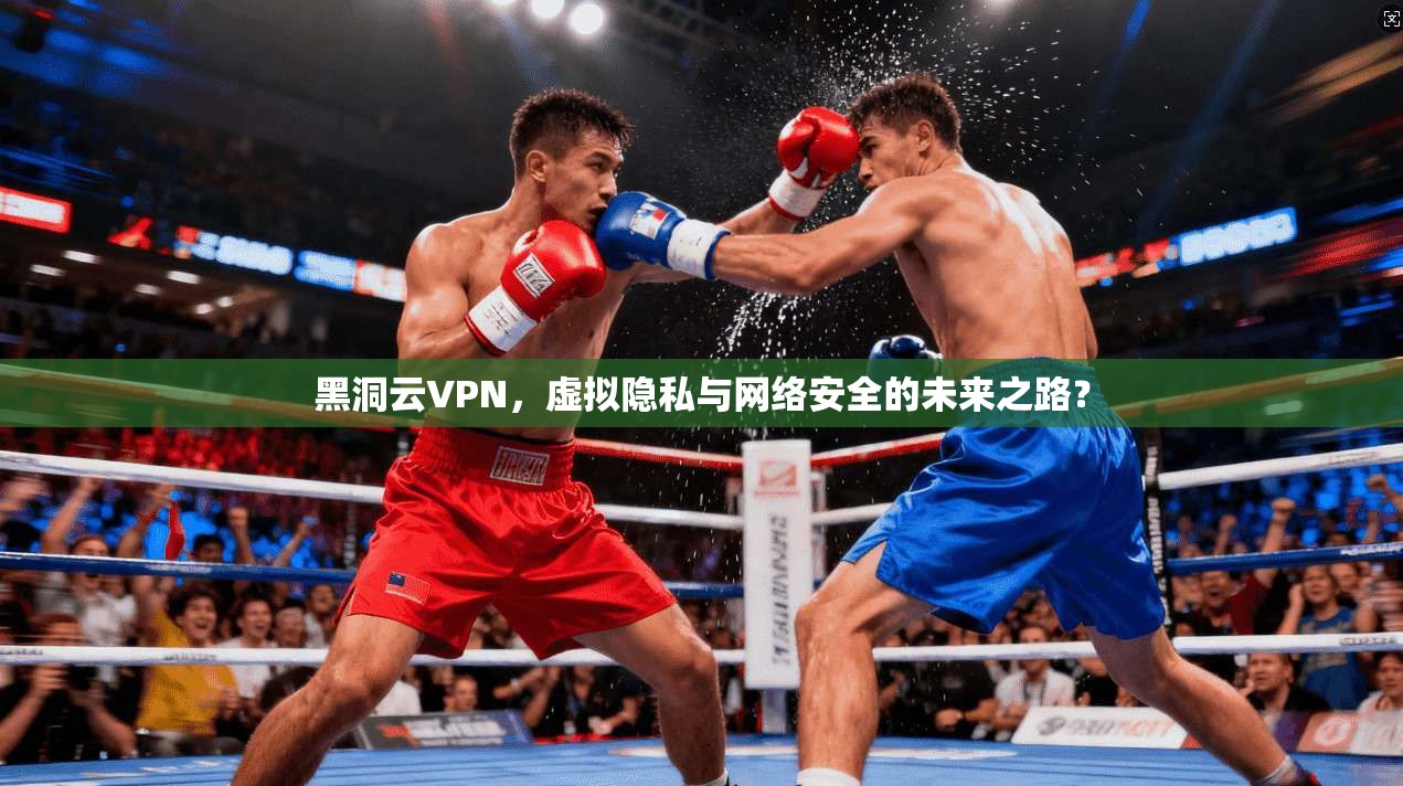 黑洞云VPN，虚拟隐私与网络安全的未来之路？