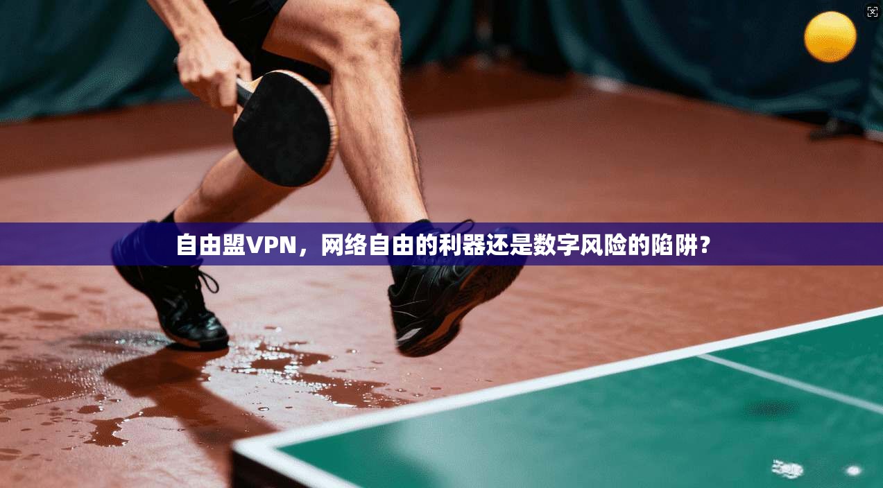 自由盟VPN，网络自由的利器还是数字风险的陷阱？