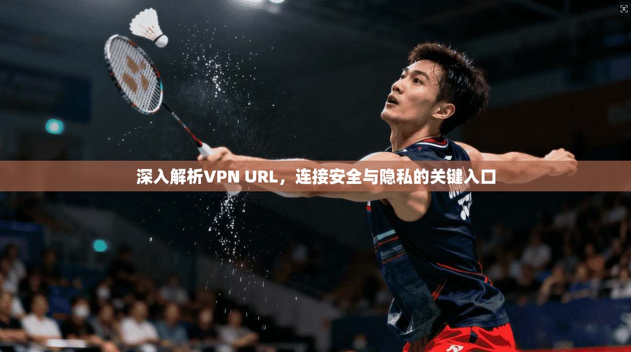 深入解析VPN URL，连接安全与隐私的关键入口