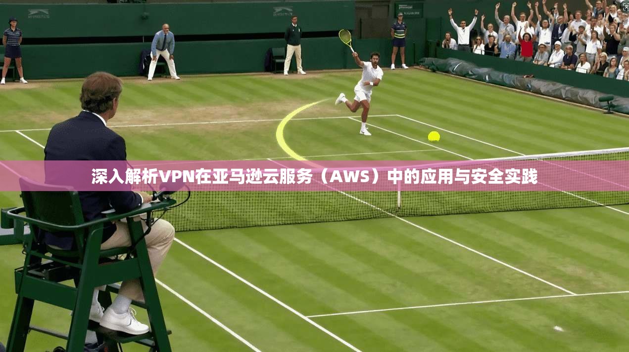 深入解析VPN在亚马逊云服务（AWS）中的应用与安全实践