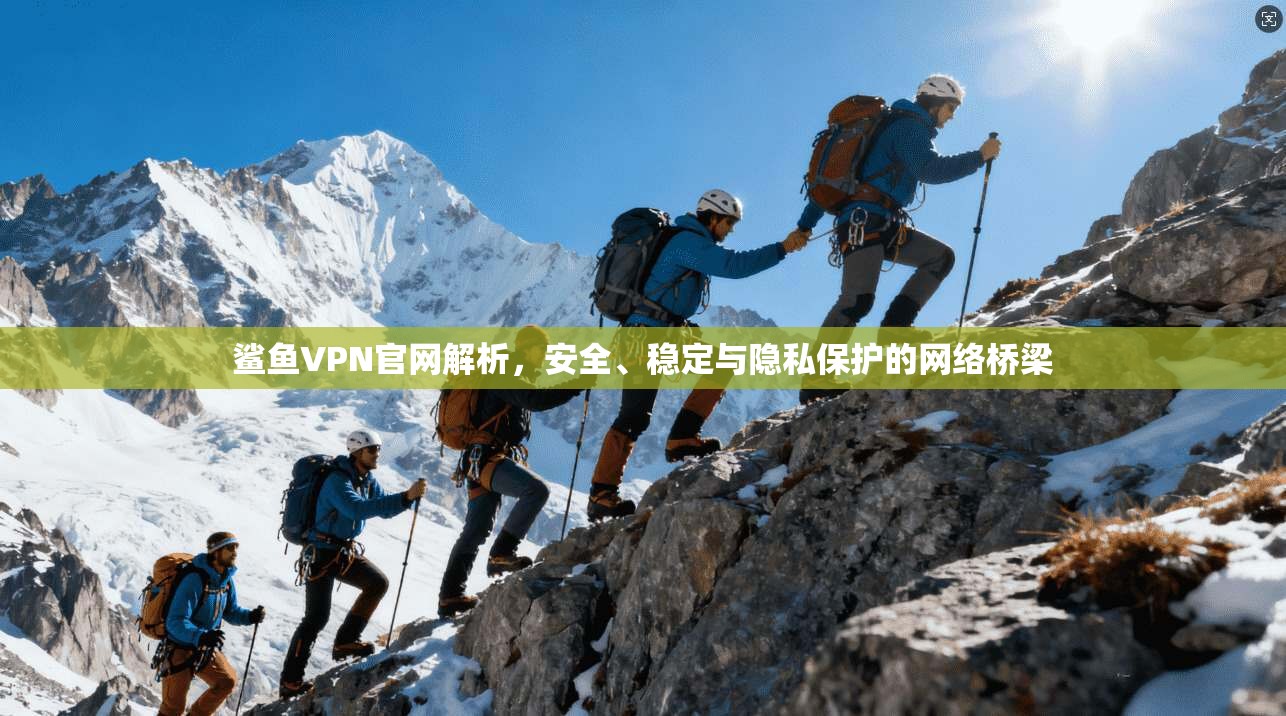 鲨鱼VPN官网解析，安全、稳定与隐私保护的网络桥梁