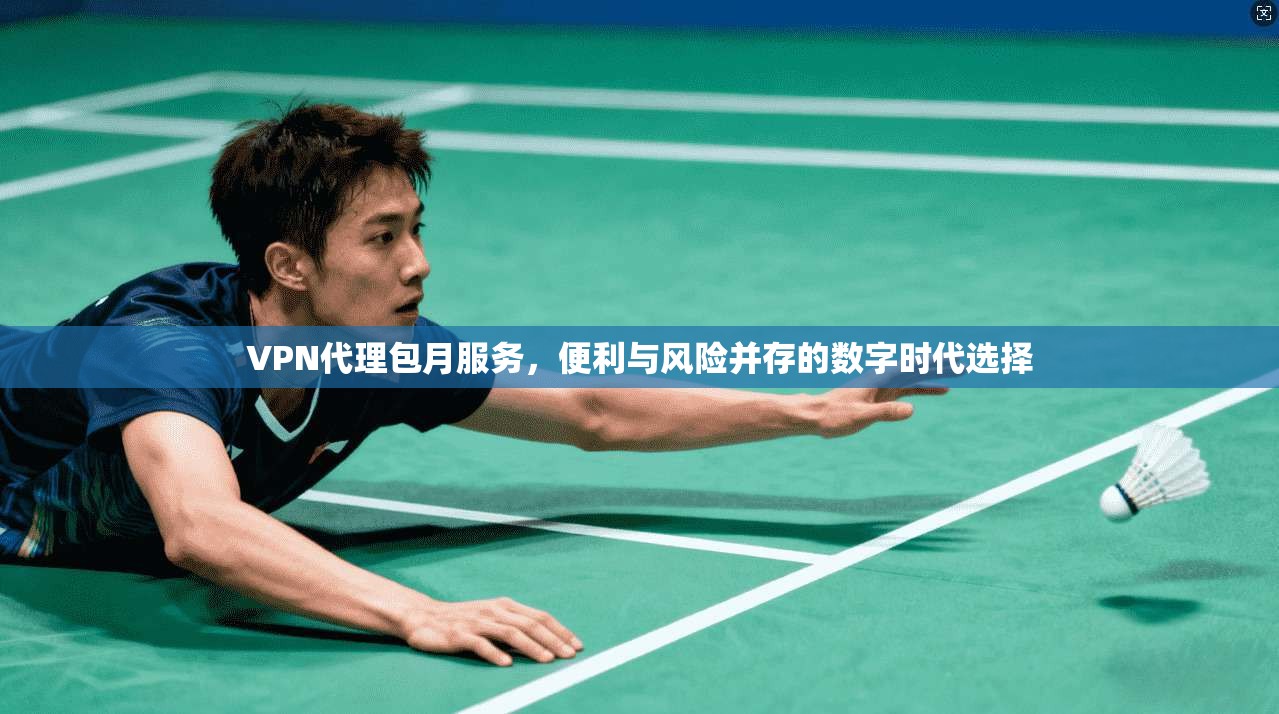 VPN代理包月服务,便利与风险并存的数字时代选择 VPN代理包月服务,便利与风险并存的数字时代选择