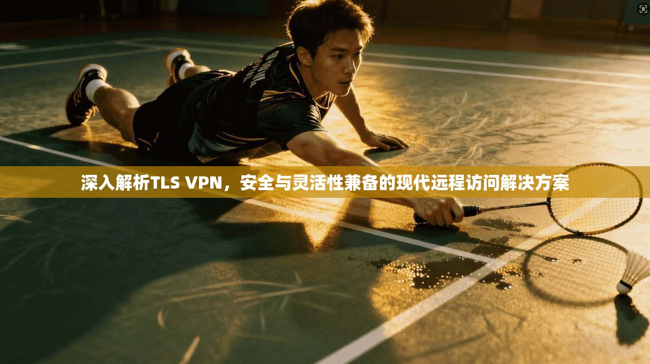 深入解析TLS VPN，安全与灵活性兼备的现代远程访问解决方案