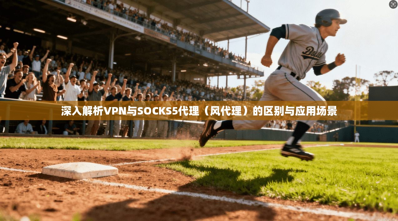 深入解析VPN与SOCKS5代理(风代理)的区别与应用场景 深入解析VPN与SOCKS5代理(风代理)的区别与应用场景