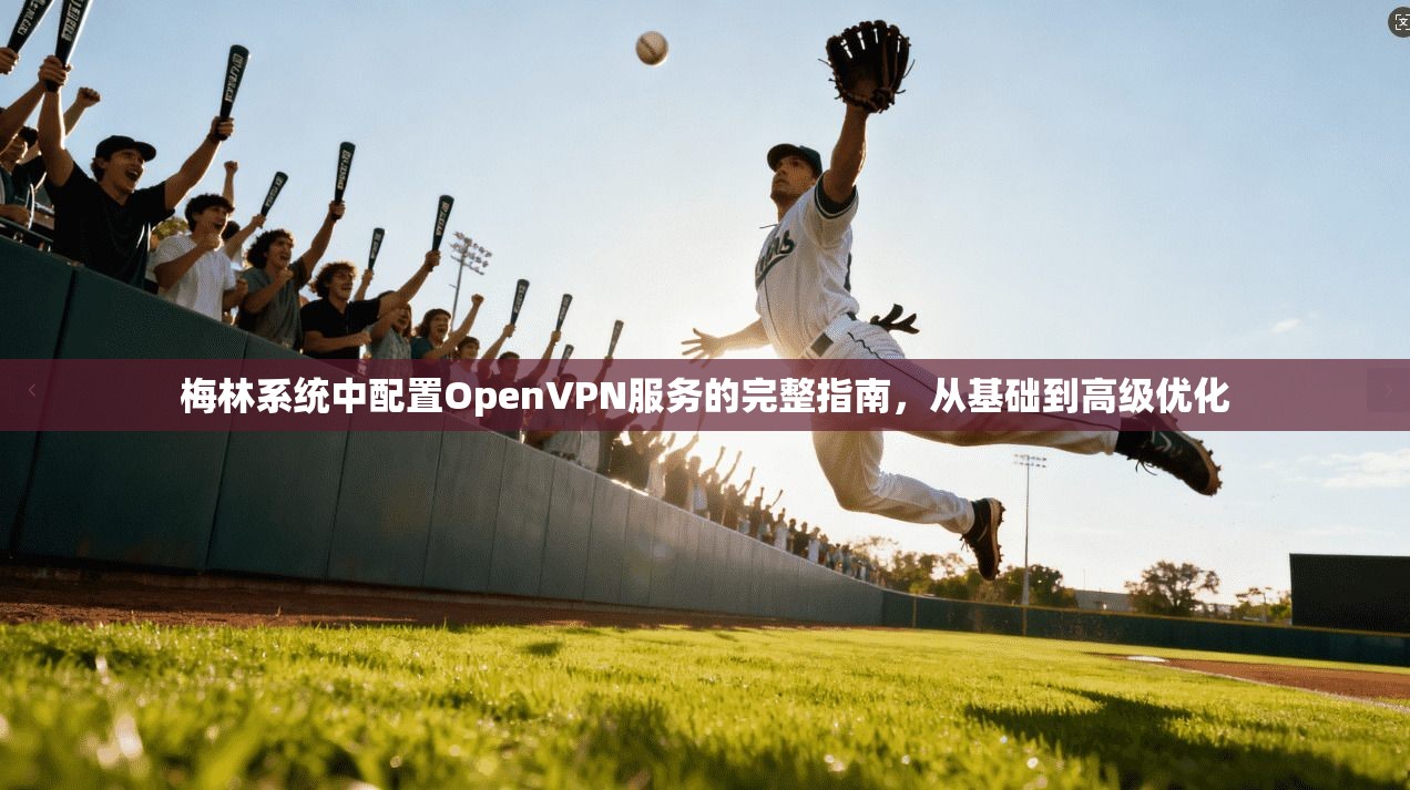 梅林系统中配置OpenVPN服务的完整指南，从基础到高级优化