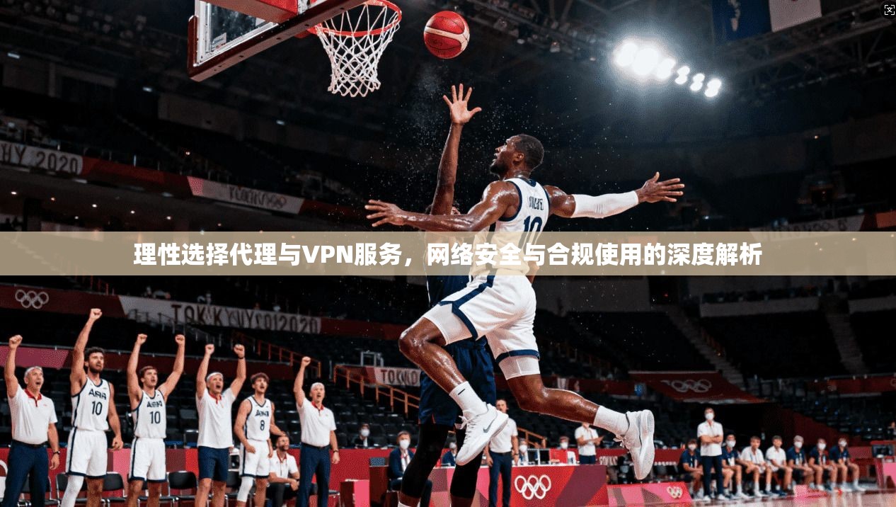 理性选择代理与VPN服务，网络安全与合规使用的深度解析