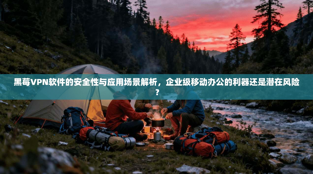 黑莓VPN软件的安全性与应用场景解析,企业级移动办公的利器还是潜在风险?