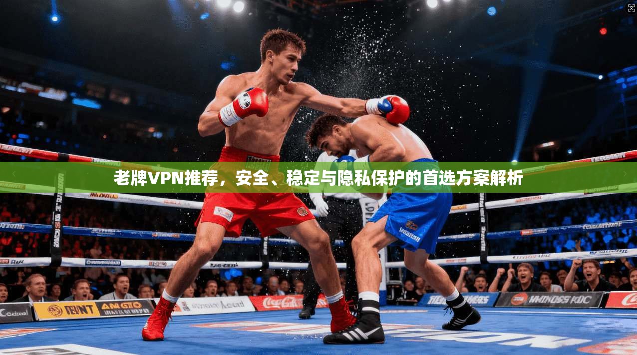 老牌VPN推荐，安全、稳定与隐私保护的首选方案解析