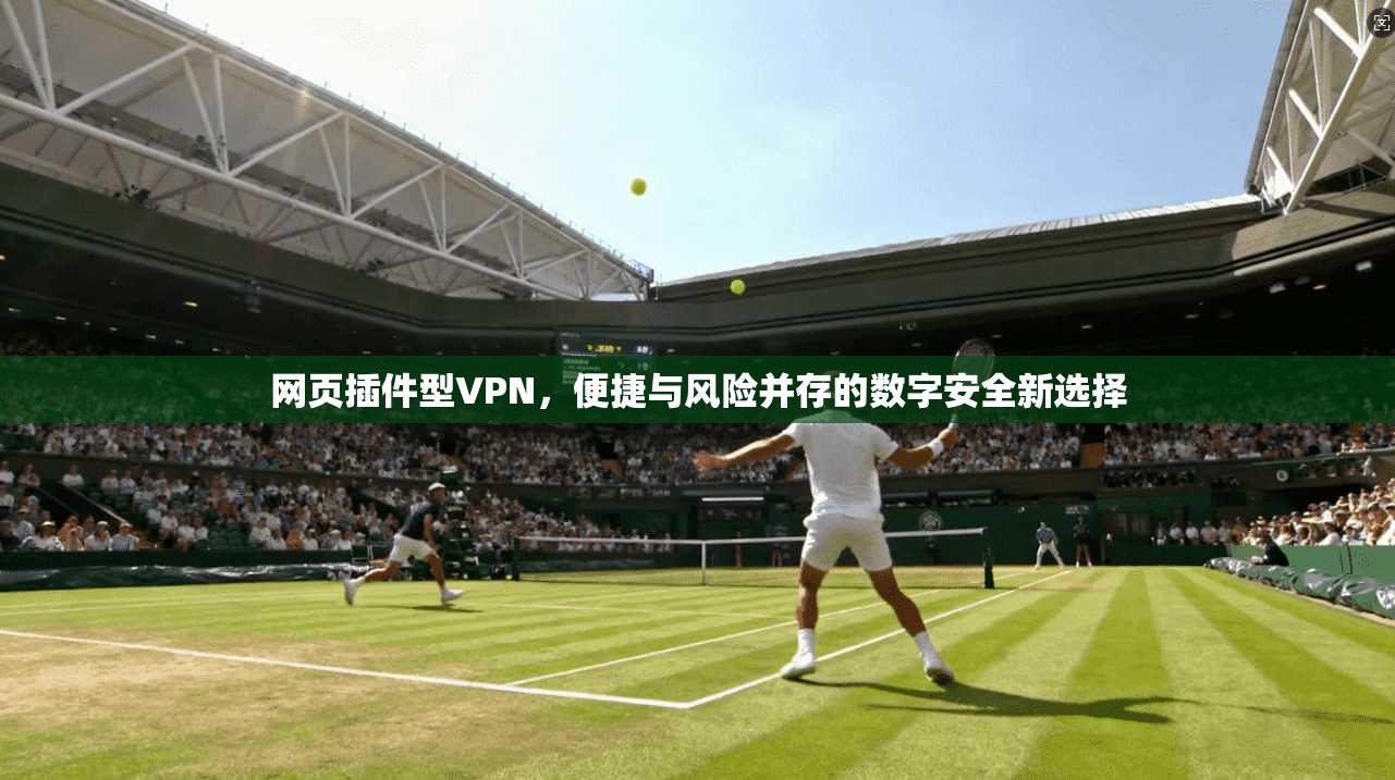 网页插件型VPN,便捷与风险并存的数字安全新选择