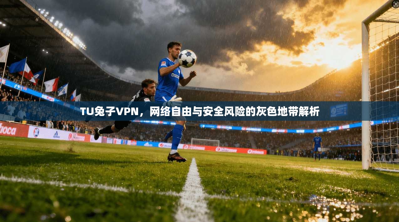 TU兔子VPN，网络自由与安全风险的灰色地带解析