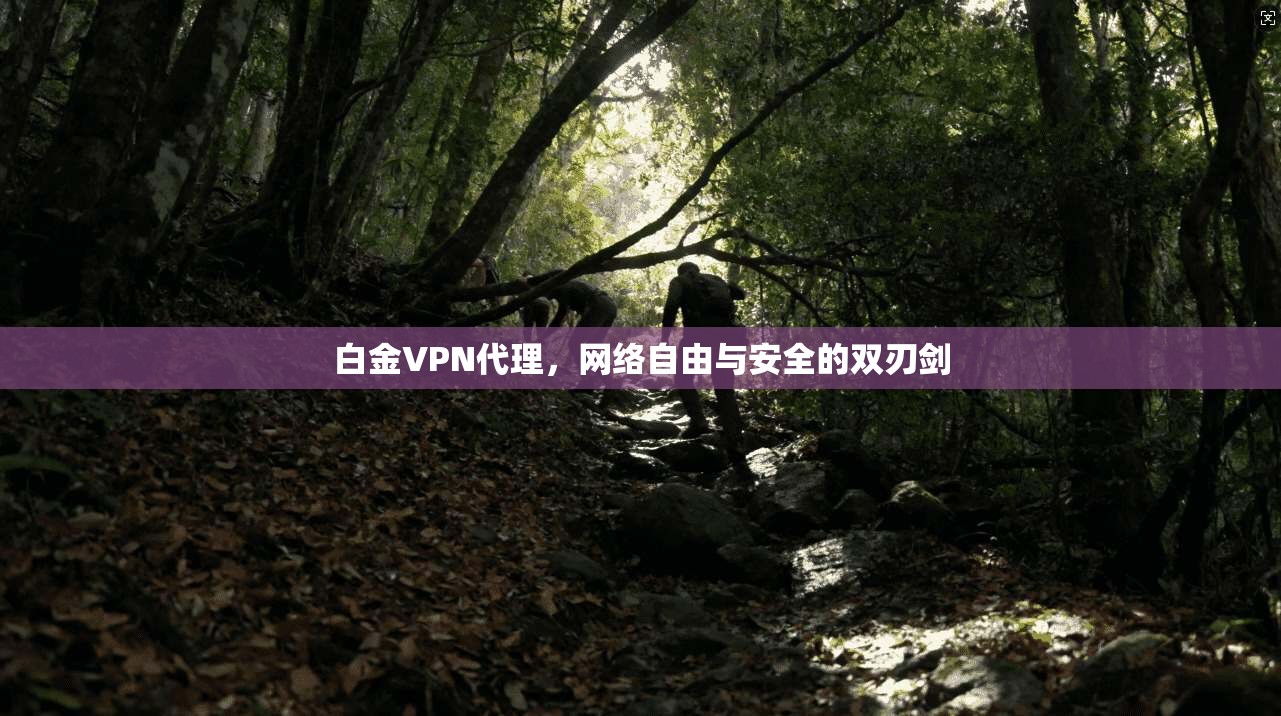 白金VPN代理,网络自由与安全的双刃剑 白金VPN代理,网络自由与安全的双刃剑