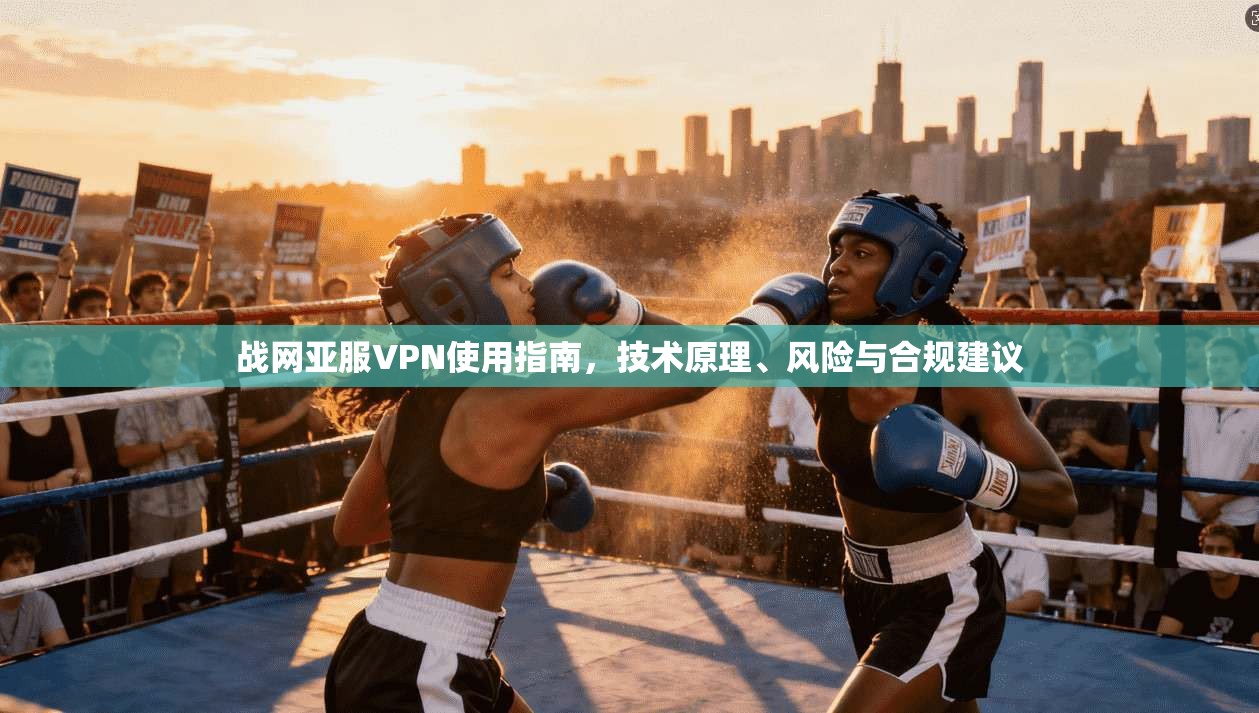 战网亚服VPN使用指南，技术原理、风险与合规建议