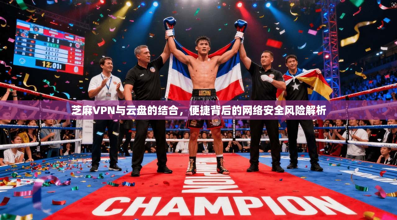芝麻VPN与云盘的结合，便捷背后的网络安全风险解析
