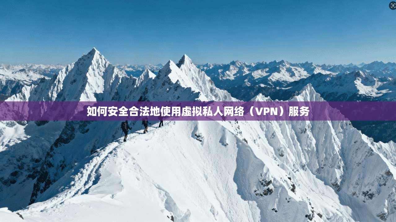 如何安全合法地使用虚拟私人网络（VPN）服务