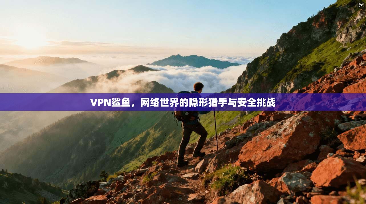 VPN鲨鱼，网络世界的隐形猎手与安全挑战