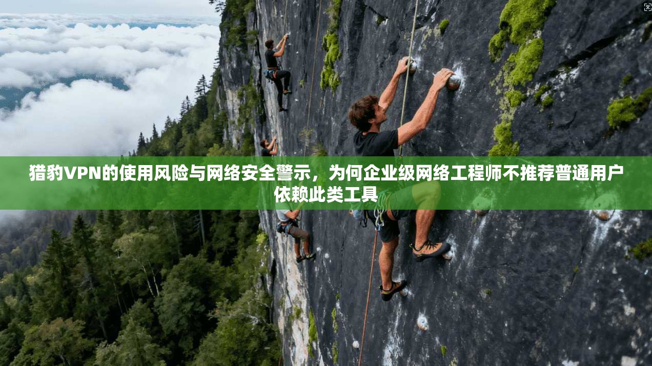 猎豹VPN的使用风险与网络安全警示，为何企业级网络工程师不推荐普通用户依赖此类工具